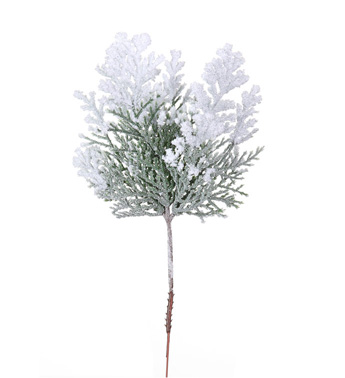 Snow Cedar Pick