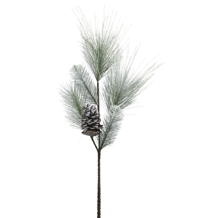 Long Pine and Cone Spray