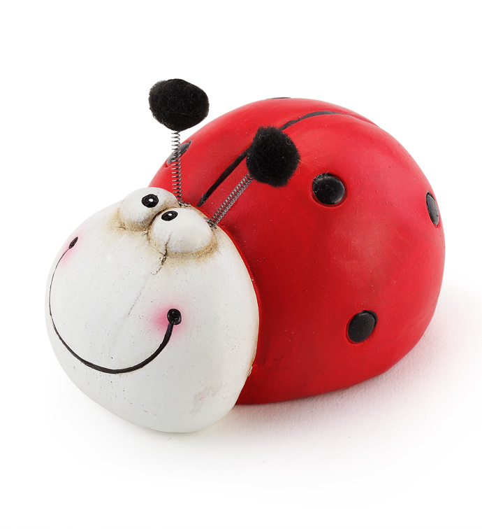 Whimsey Lady Bug