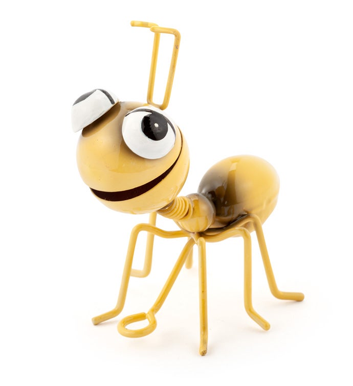 Yellow Picnic Ant                  