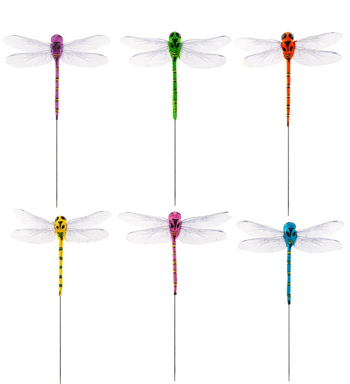 Painted Dragonfly, 6 Assorted      