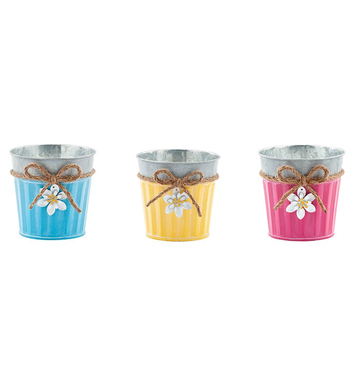 5" Daisy Pot Cover, 3 Assorted     