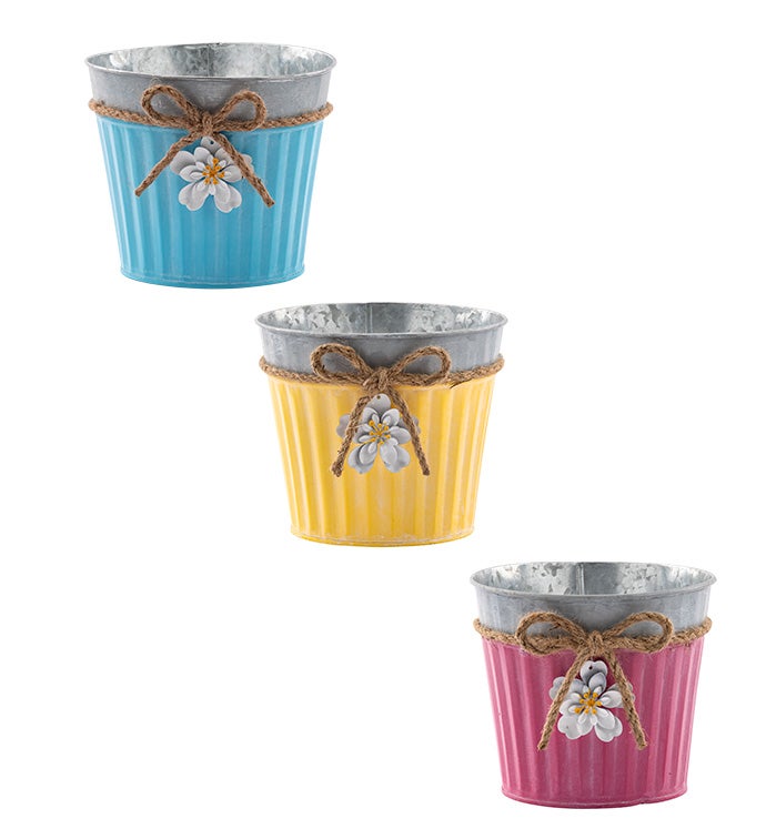 6" Daisy Pot Cover, 3 Assorted     