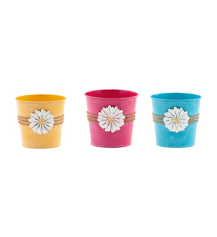 5" Flower Pot Cover, 3 Assorted    