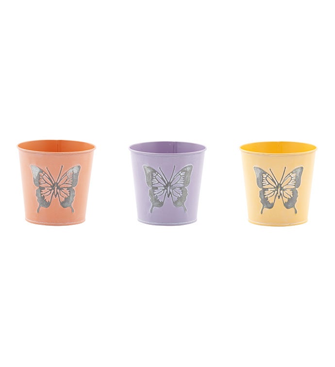 5" Butterfly Pot Cover, 3 Assorted 