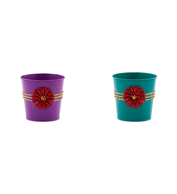5" Pot Cover with Flower, 2 Assorte