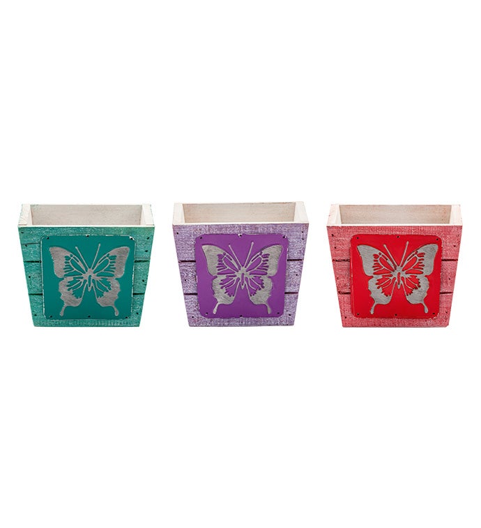 Butterfly Planter Box, 3 Assorted  