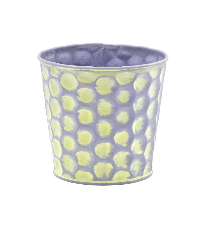 5" Lavender/Yellow HoneyComb Pot