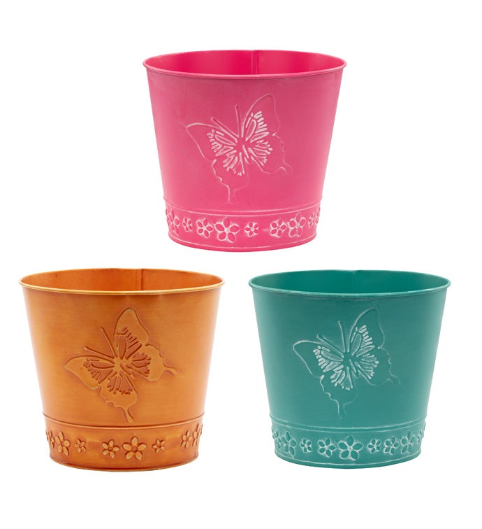 6.5" Butterfly Embossed PotCover, 3