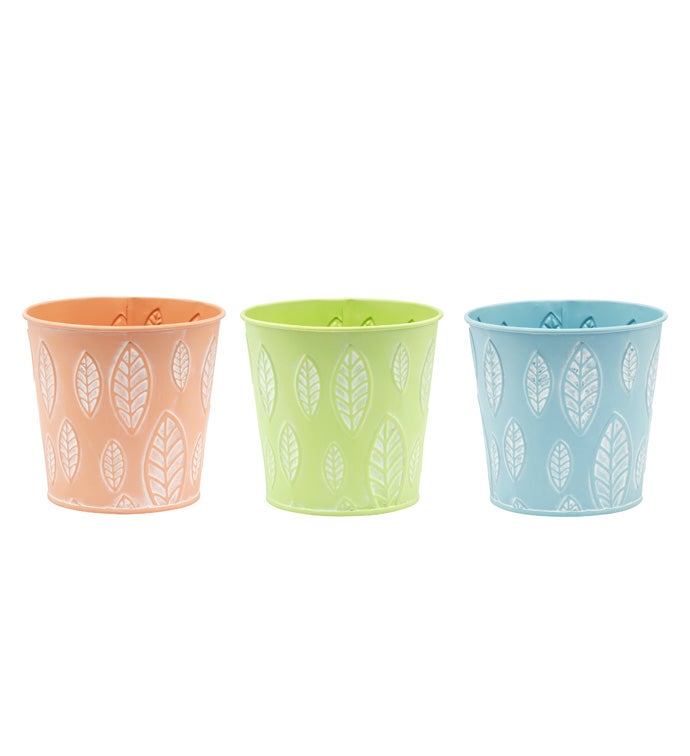 5" Pastel Leaf Embossed Pot, 3 Asso