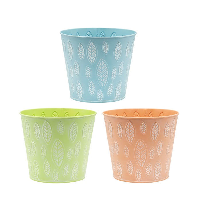 6.5" Pastel Leaf Embossed Pot, 3 As