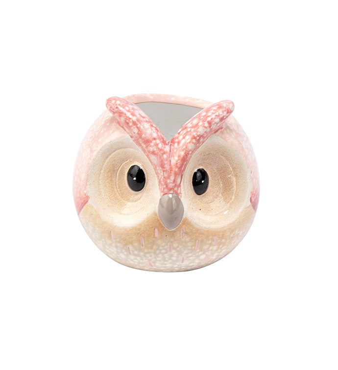Pink Owl Face Planter