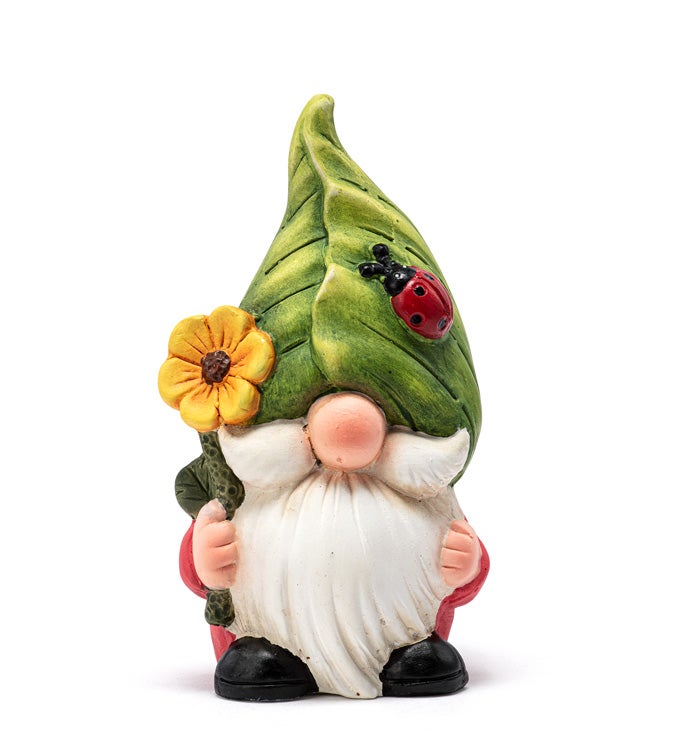 Ladybug/Flower Gnome