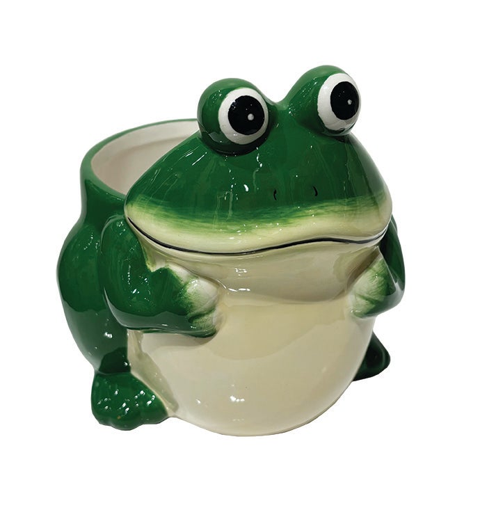 Smiling Frog Planter