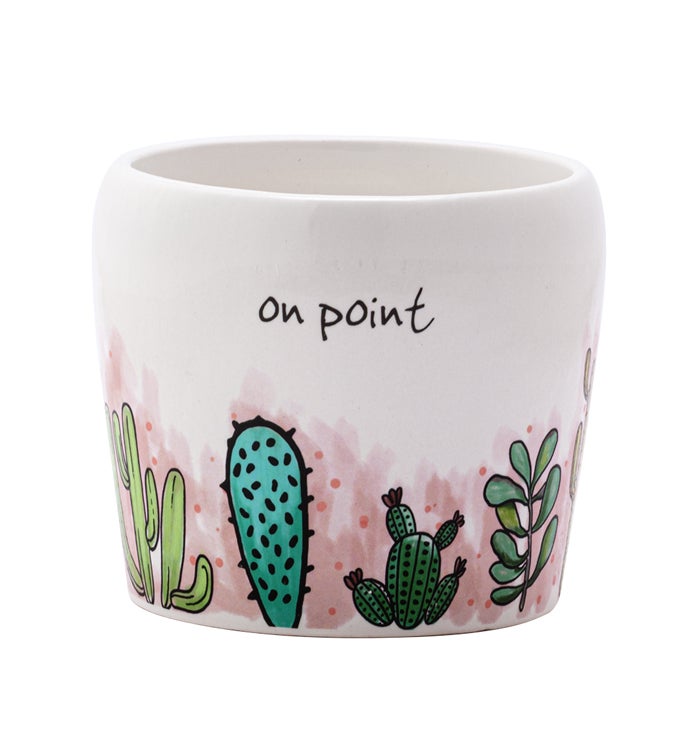 Large Cactus/Succulent Planter