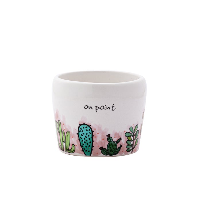 Small Cactus/Succulent Planter