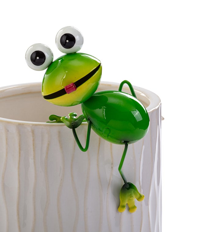 Big Eye Frog Pot Hanger