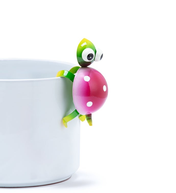 Green/Purple Turtle Pot Hanger