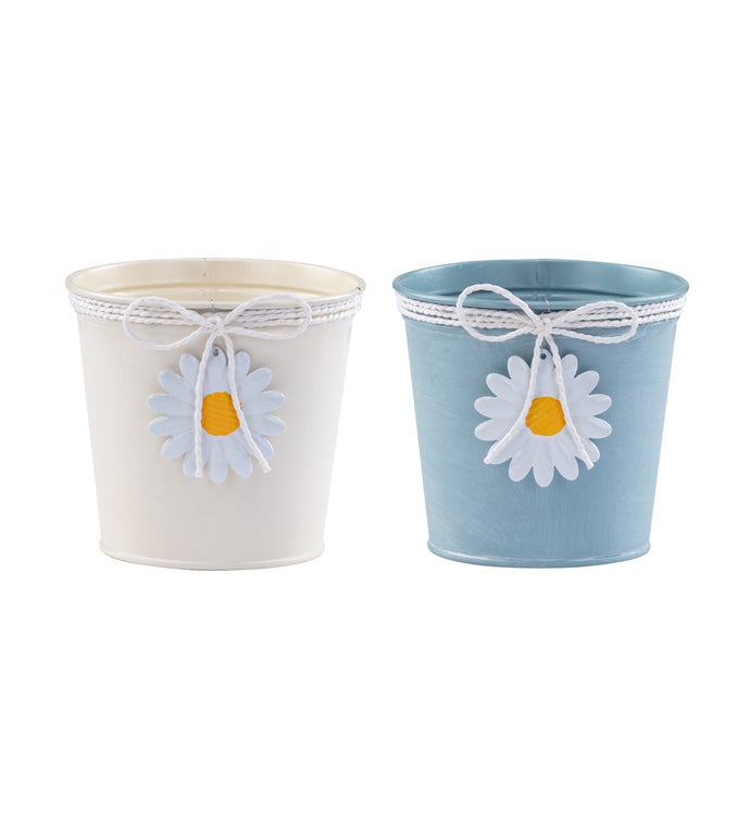 5" Daisy/Bow Pot Cover  2 Assorted