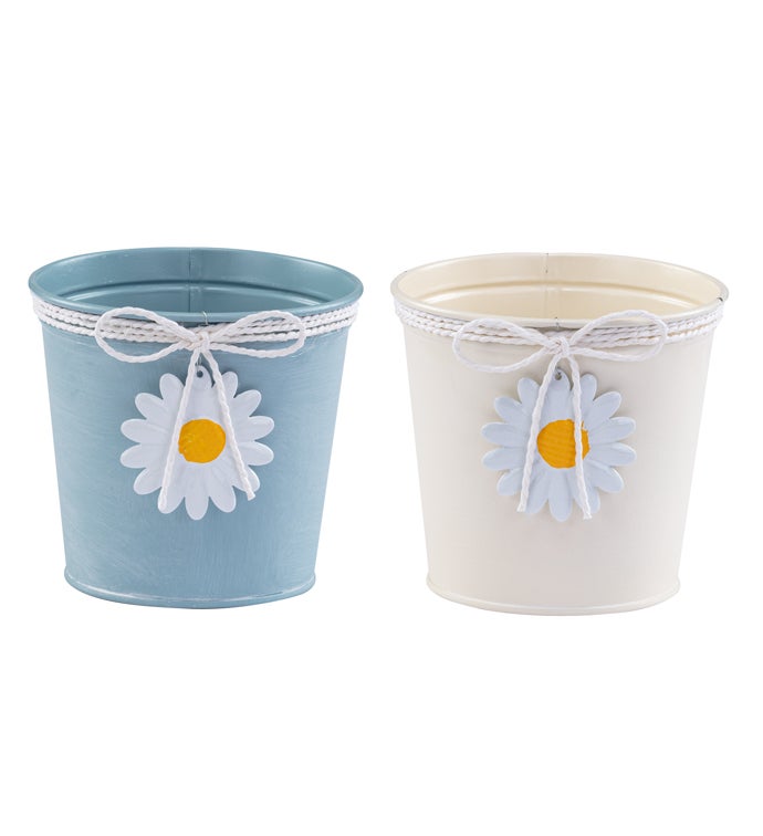 6.5" Daisy/Bow Pot Cover  2  Assorted