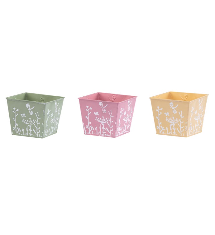 5" Wildflower Square Pot Cover  3 Assorted