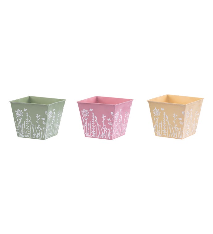 6.5" Wildflower Square Pot Cover  3 Assorted