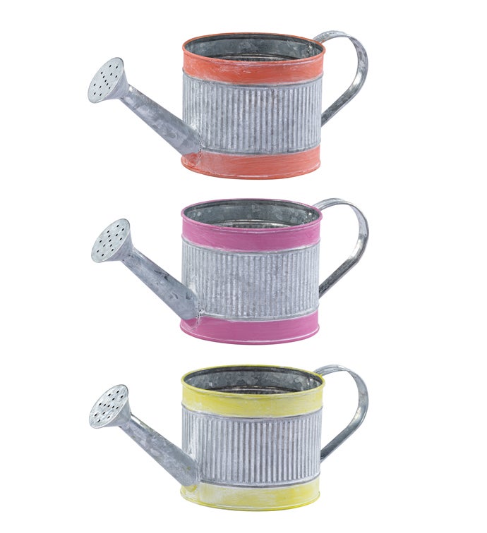 5" Galvanized Stripe Watering Can  3 Assorted