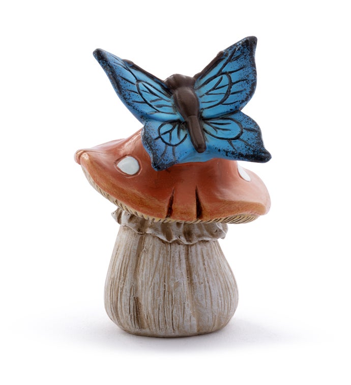 Blue Butterfly on Mushroom
