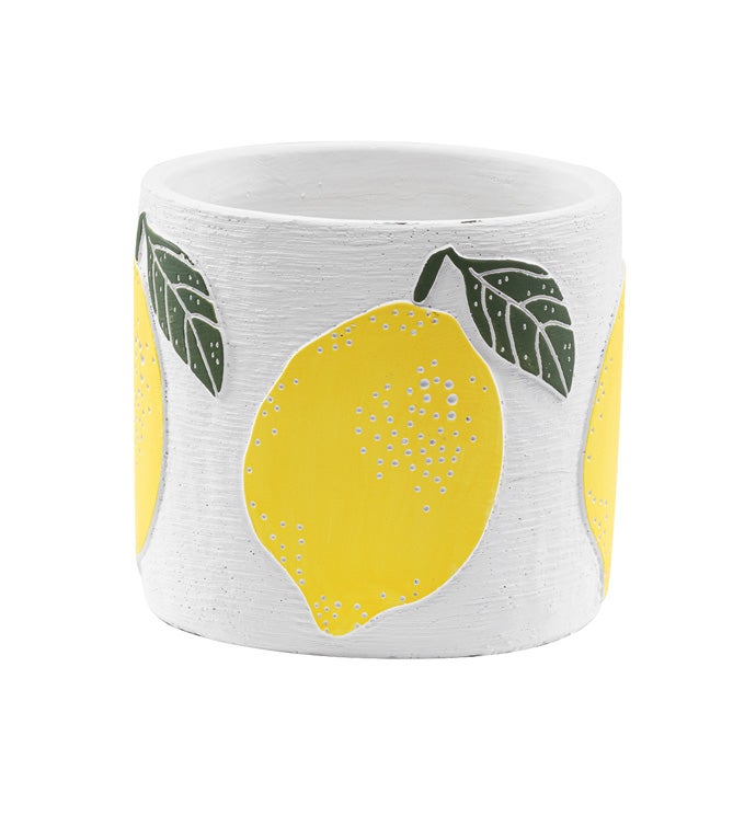 Lemons on White Planter