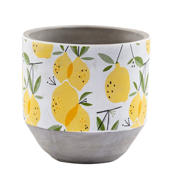 Lemon Spray Planter