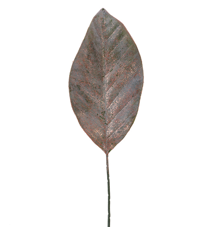 Copper Magnolia Leaf