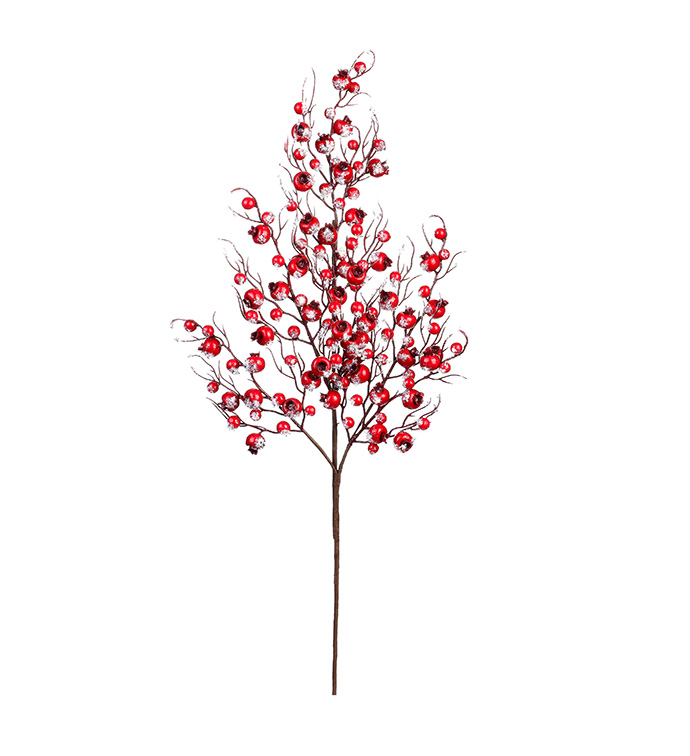 Red Frost Crabapple Spray