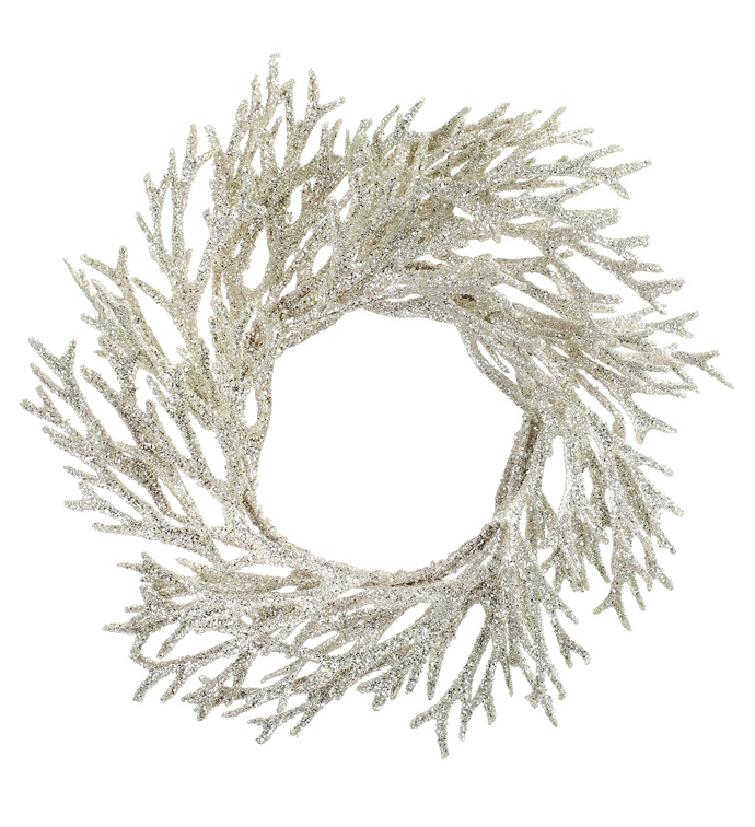 Silver Staghorn Fern Wreath