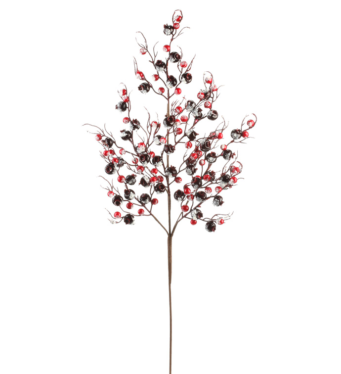 red frost simte red frost simte