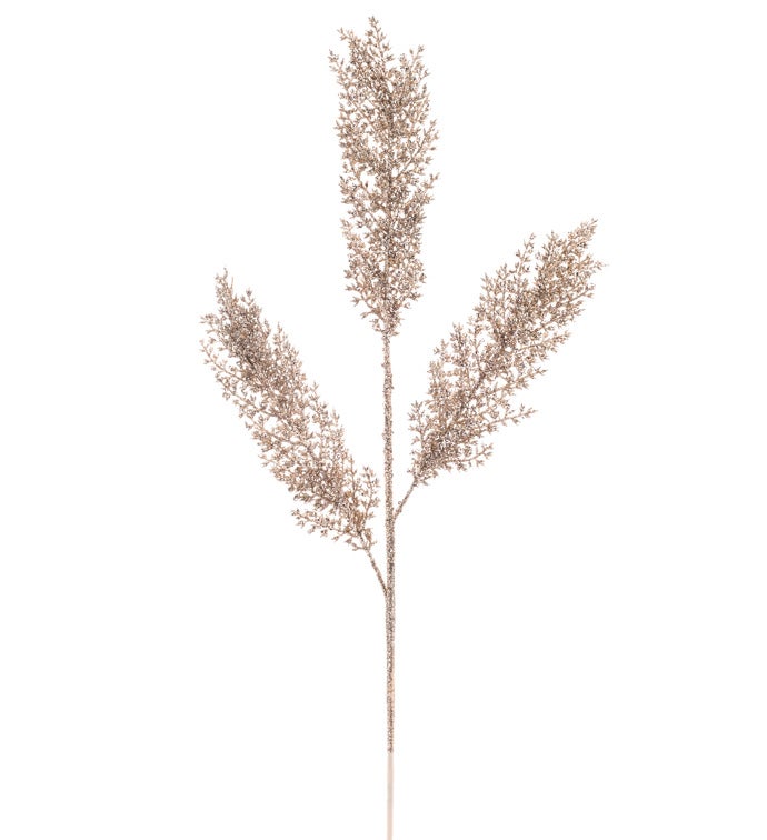 Champagne Fern Spray