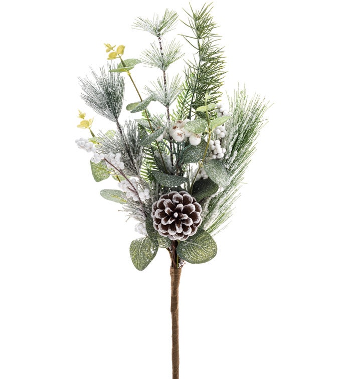 Snow Eucalyptus Berry Pick