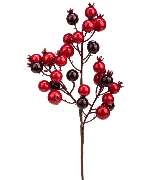 Red/Burgundy Berry Pick
