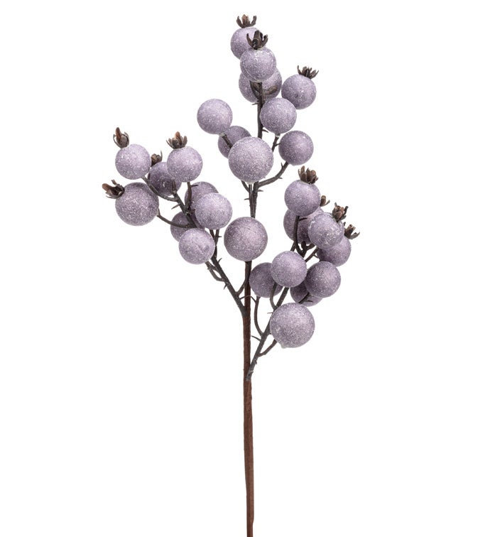 Lavender Berry Pick