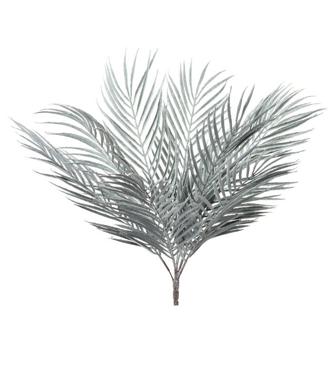 Gray Palm Frond Bush x9