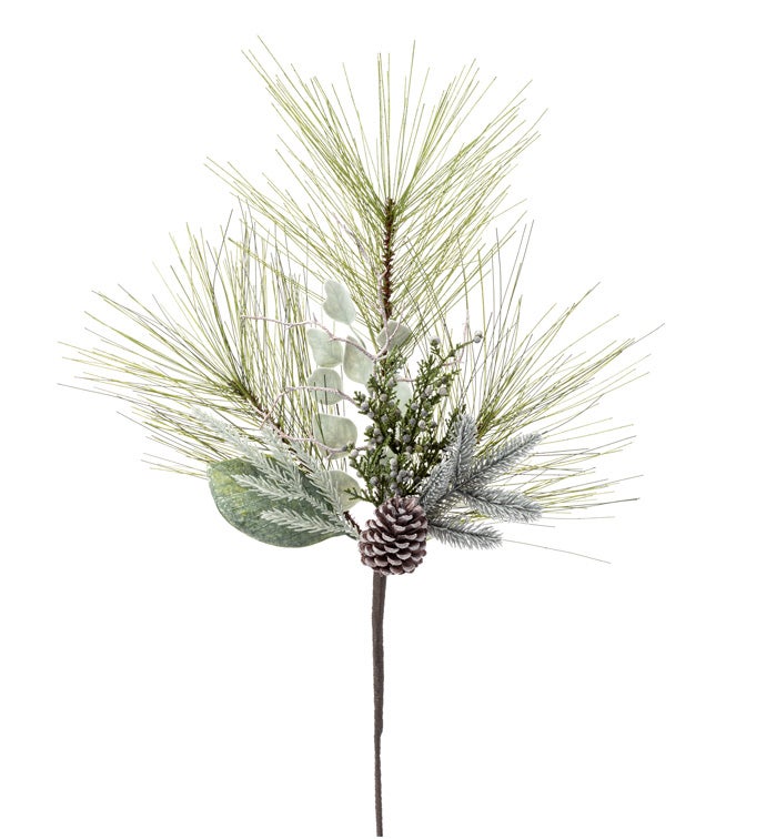 Blue Spruce w/ Pine Cones Spra