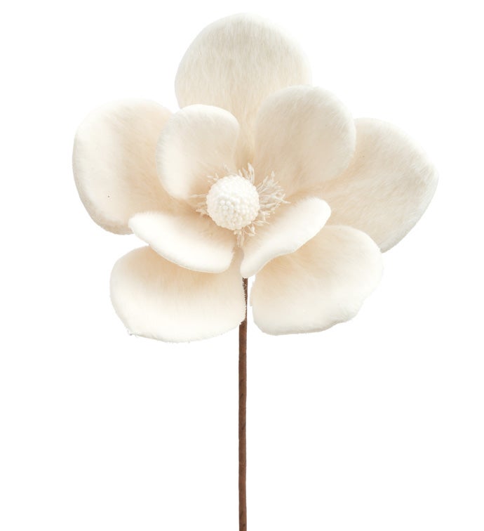 Cream Velvet Magnolia