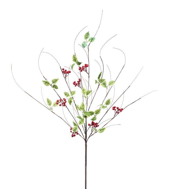 Red Berry Variegated Leaf Spry