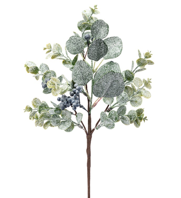 Eucalyptus Blue Berry Pick
