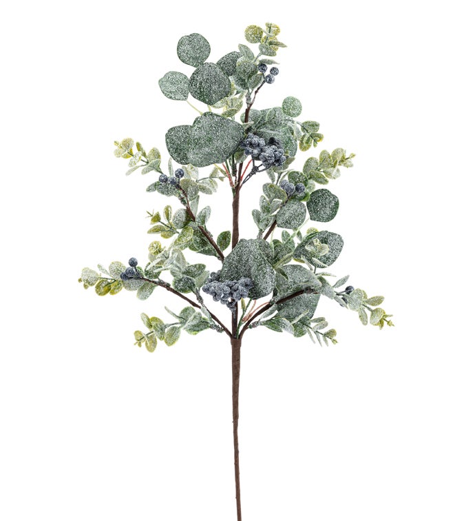 Eucalyptus Blue Berry Spray