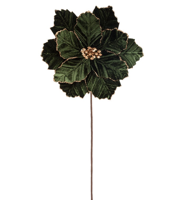 Dark Green Velvet Poinsettia