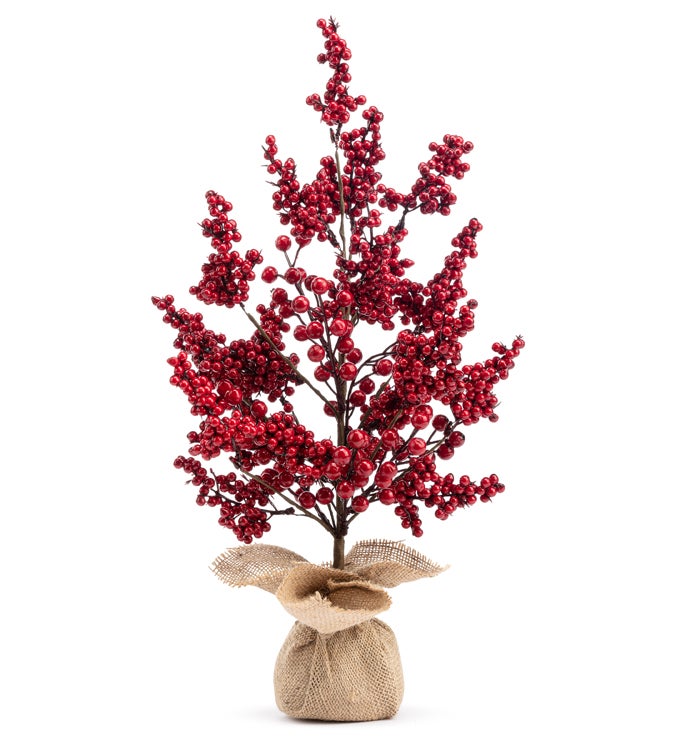 Red Cluster Berry Tree