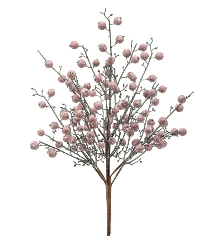 Frost Burgundy Berry Bush