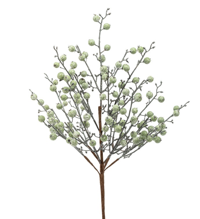 Frost Green Berry Bush
