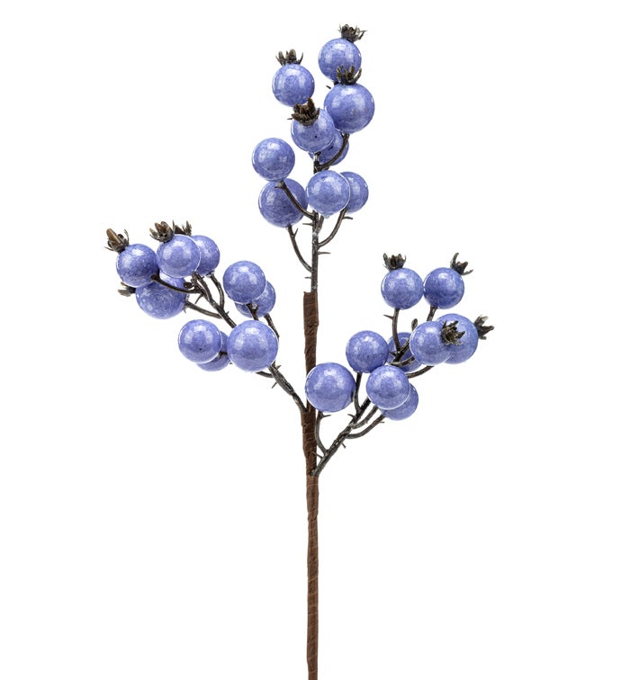 Lavender Shiny Berry Pick