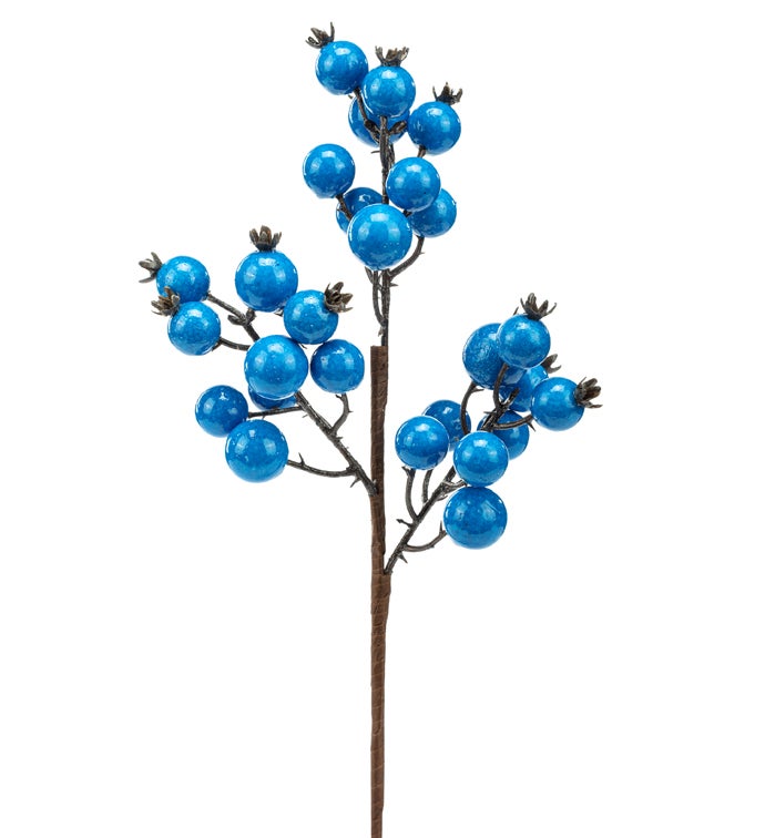 Blue Shiny Berry Pick